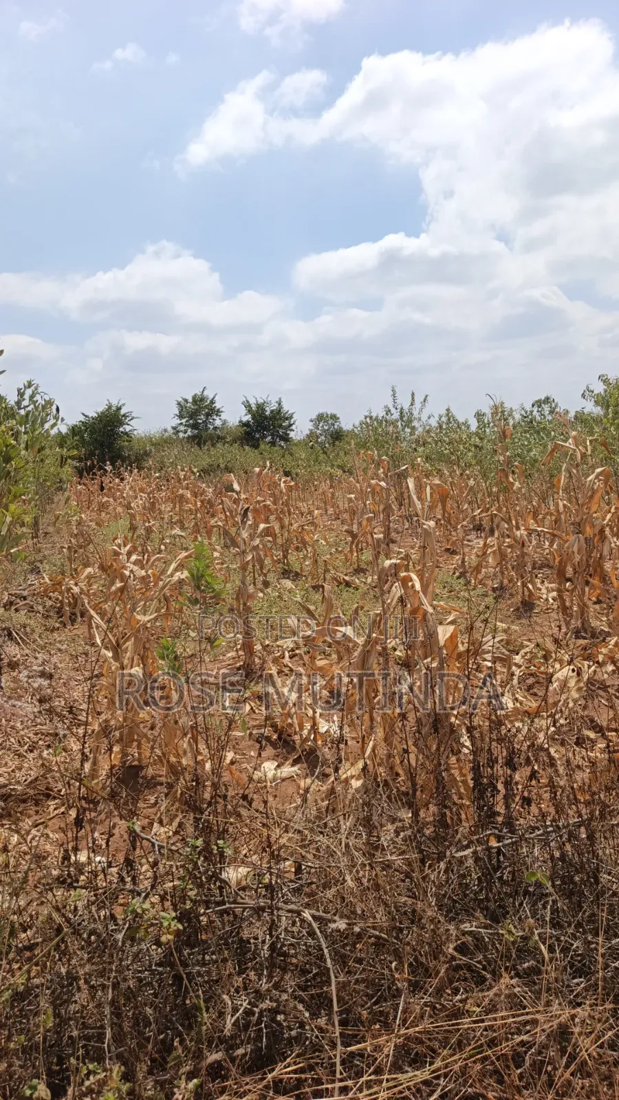 38 Acres at Kayatta /Ndunyu Sabouk in Kithimani