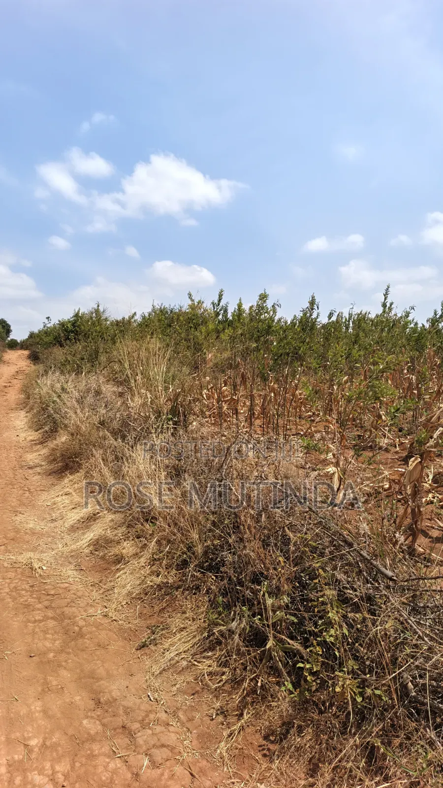 38 Acres at Kayatta /Ndunyu Sabouk in Kithimani