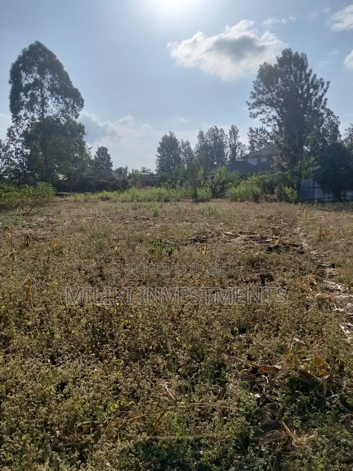 Half an Acre Piece of Land on Sale at Kenol- Kimorori in Kimorori/Wempa