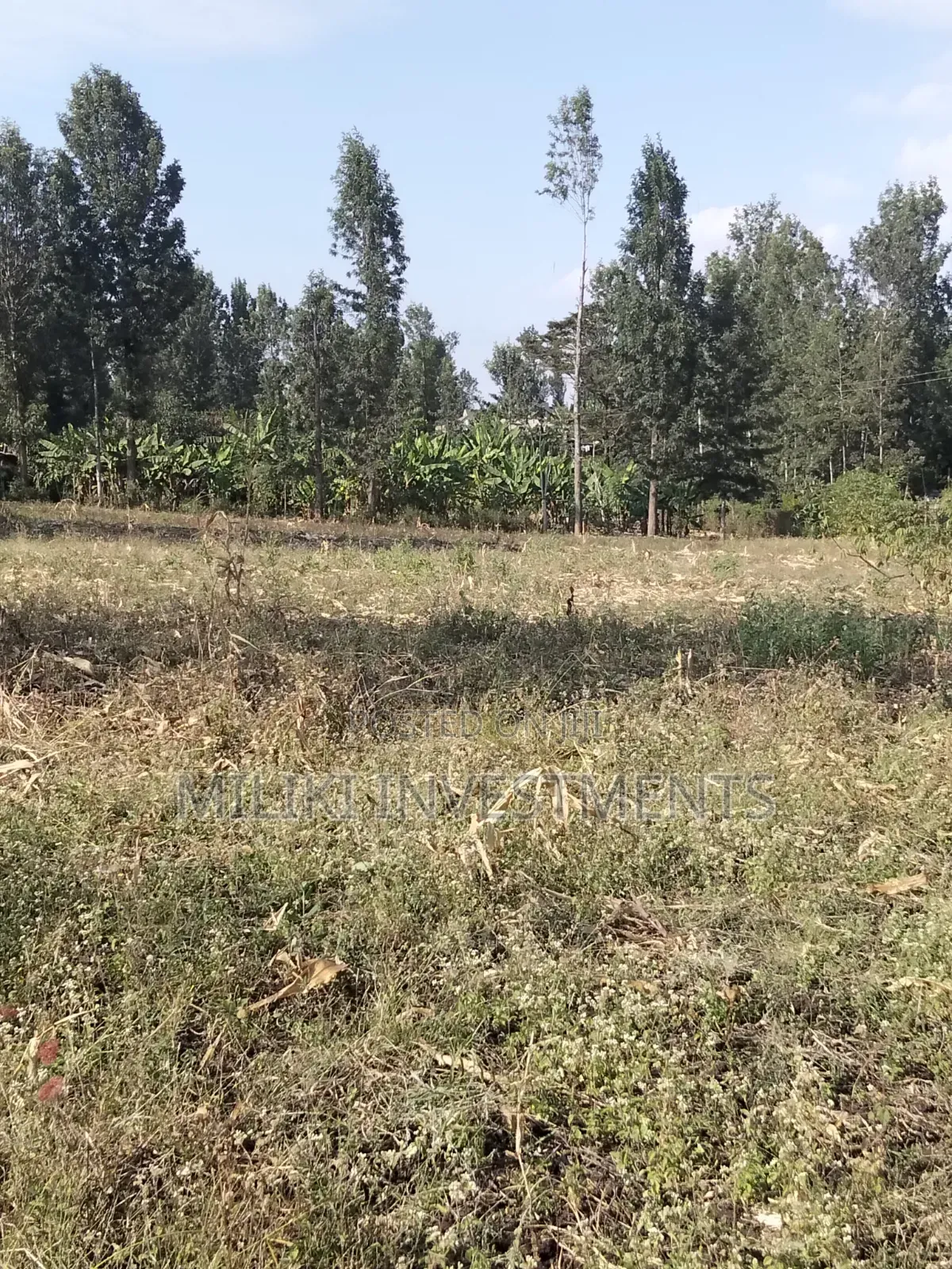 Half an Acre Piece of Land on Sale at Kenol- Kimorori in Kimorori/Wempa