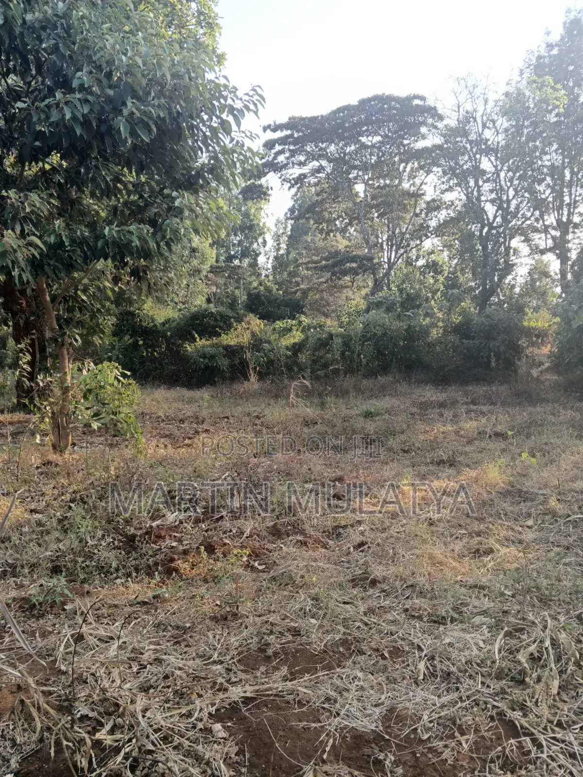 Land for Sell in Matungulu North