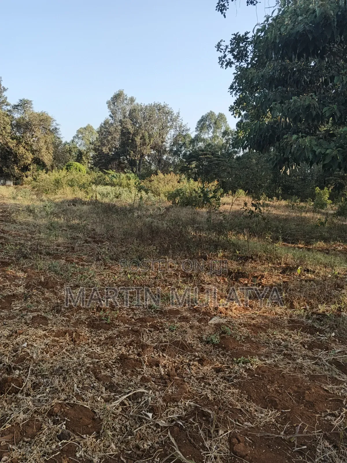 Land for Sell in Matungulu North