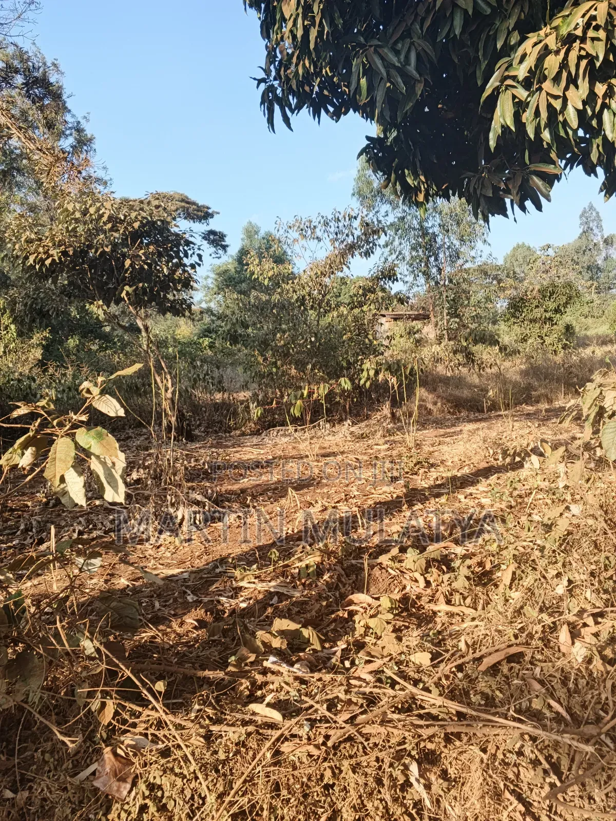 Land for Sell in Matungulu North