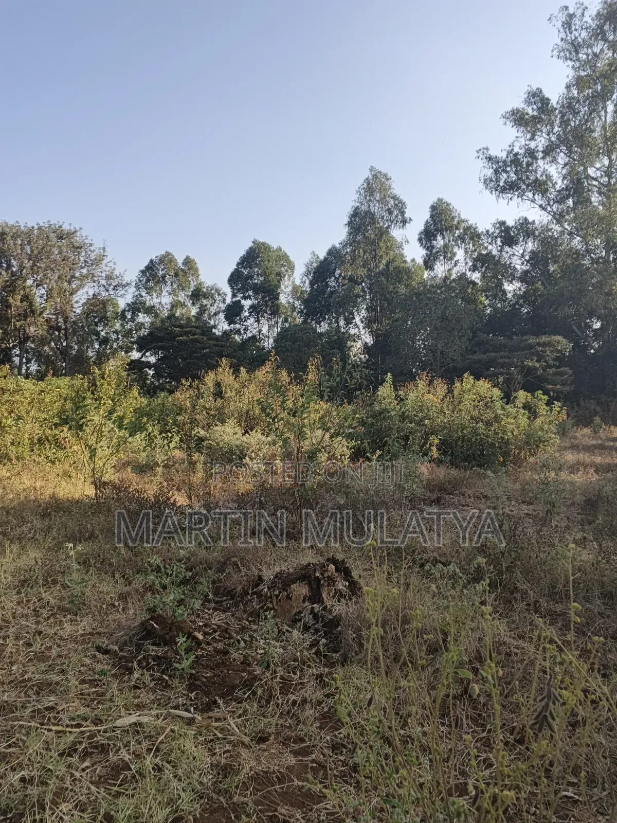 Land for Sell in Matungulu North