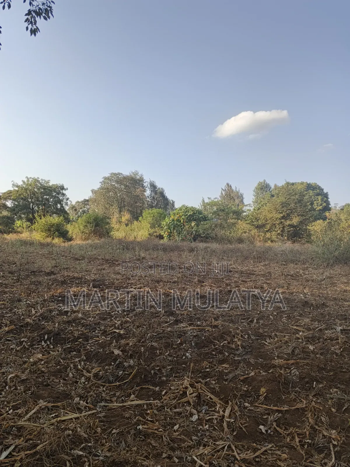 Land for Sell in Matungulu North
