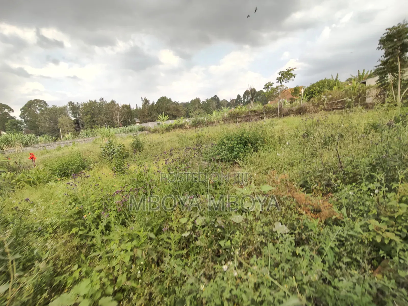 1/2 Acre Land for Sale in Loresho Ridge in Loresho