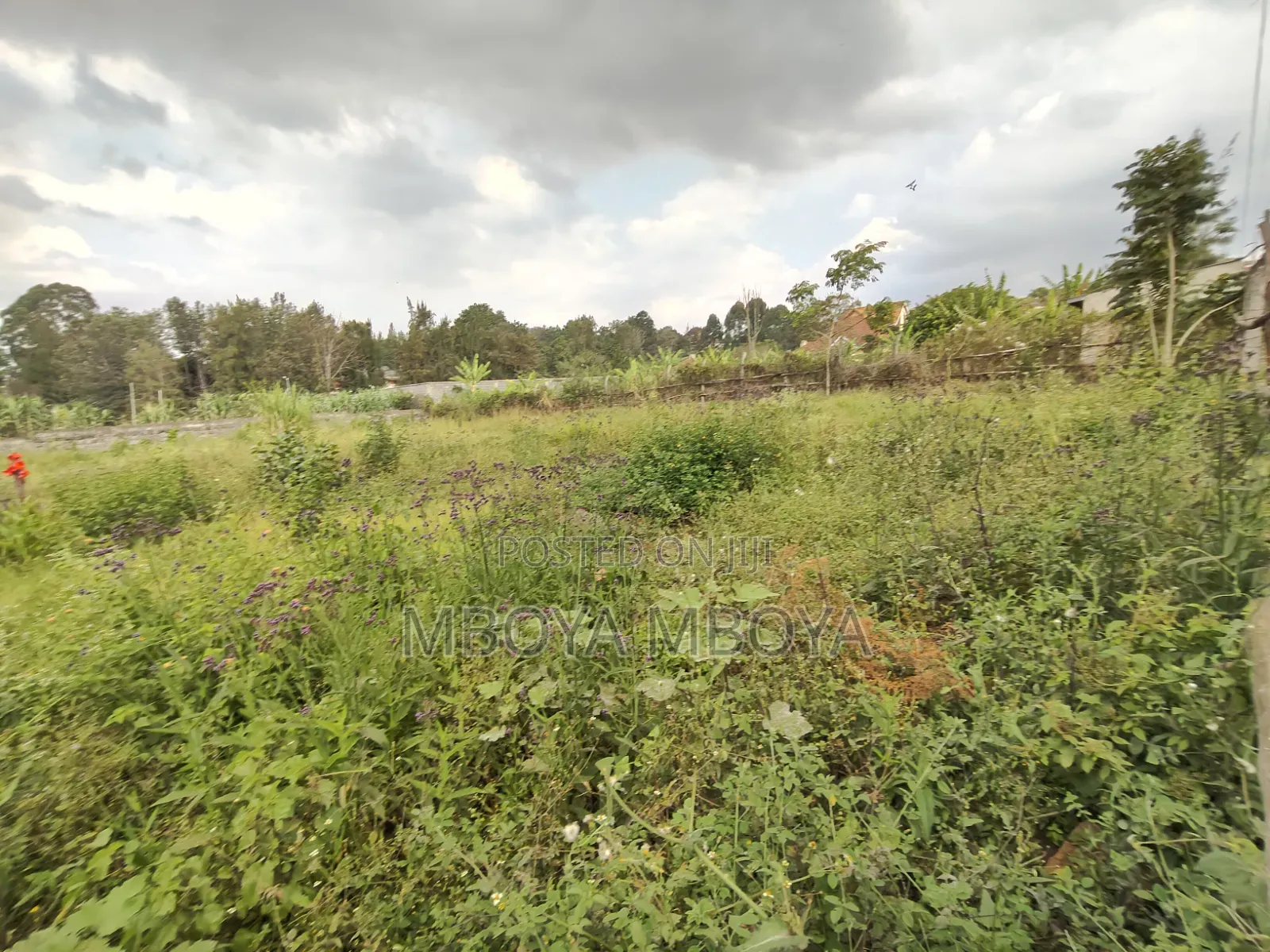1/2 Acre Land for Sale in Loresho Ridge in Loresho