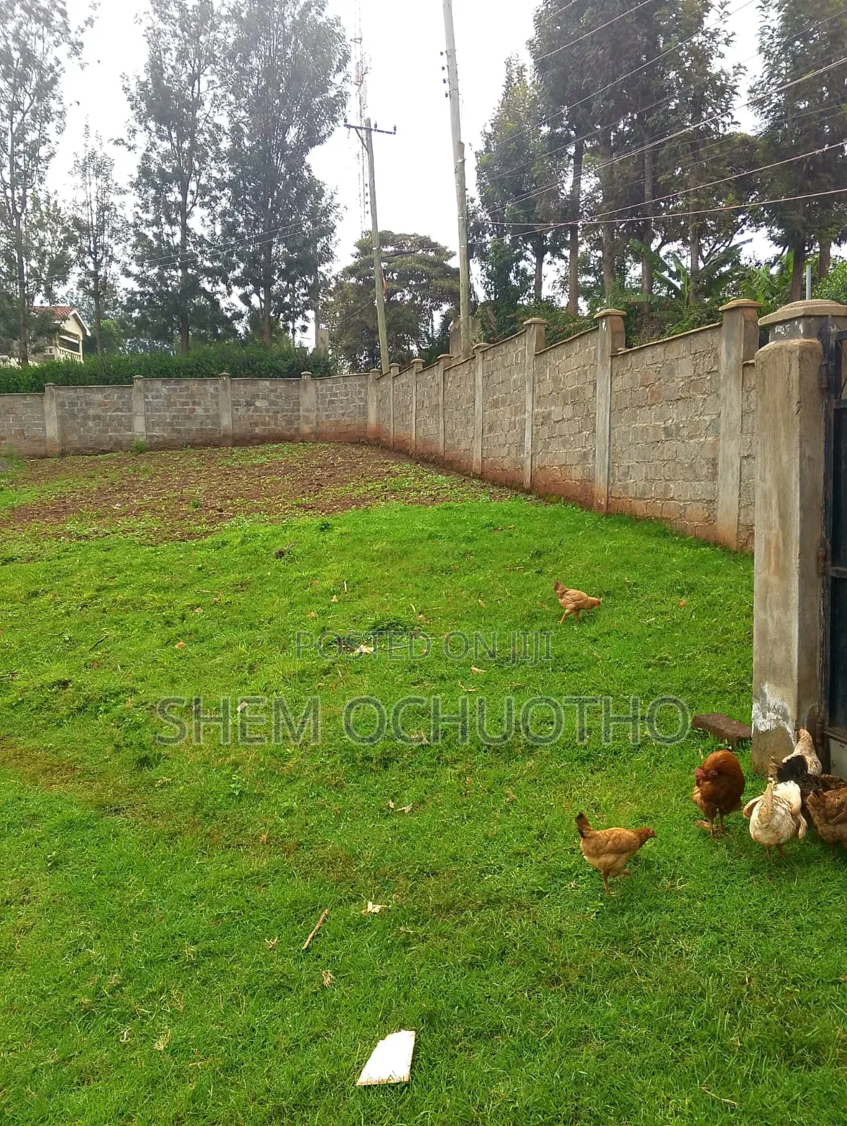 Plot for Sale in Ngong in Ngong
