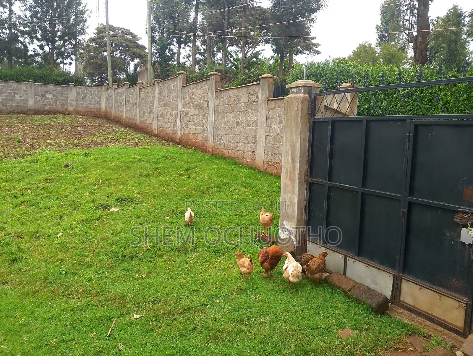 Plot for Sale in Ngong in Ngong