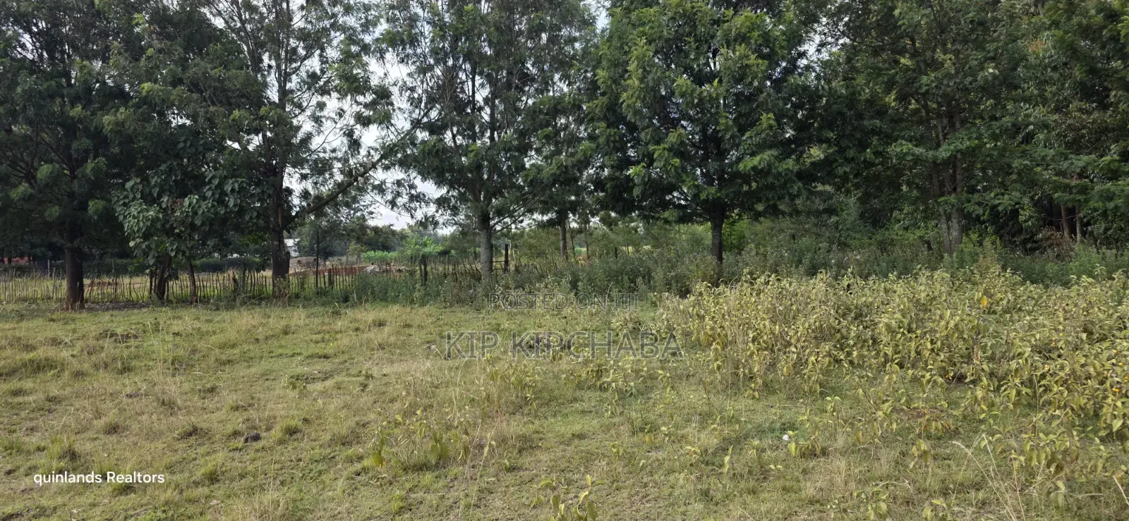 Prime 1 Acre for Sale in Chepkanga Eldoret in Kimumu