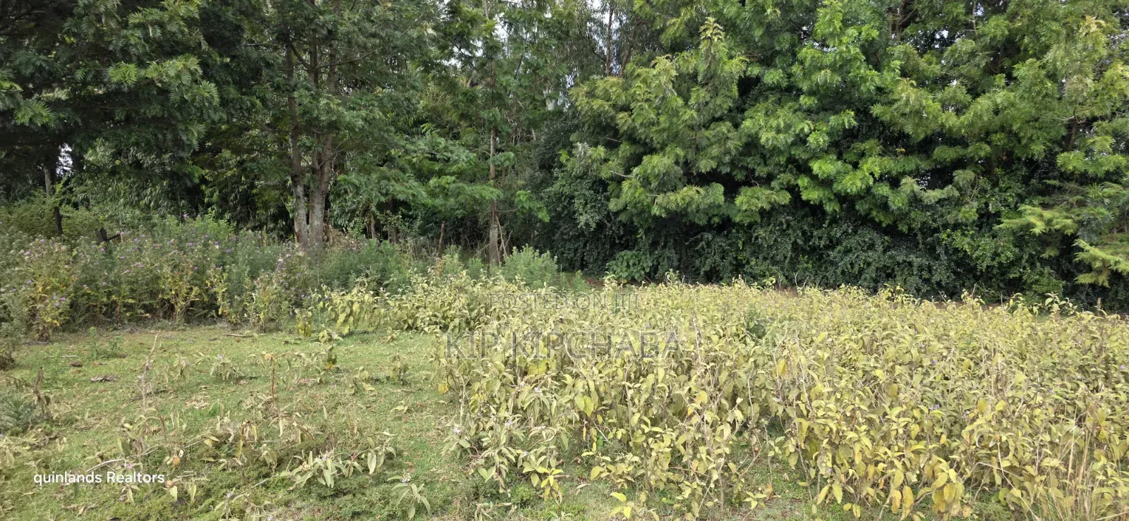 Prime 1 Acre for Sale in Chepkanga Eldoret in Kimumu