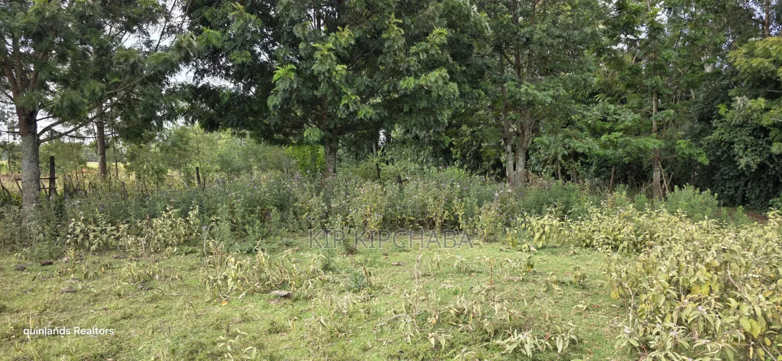 Prime 1 Acre for Sale in Chepkanga Eldoret in Kimumu