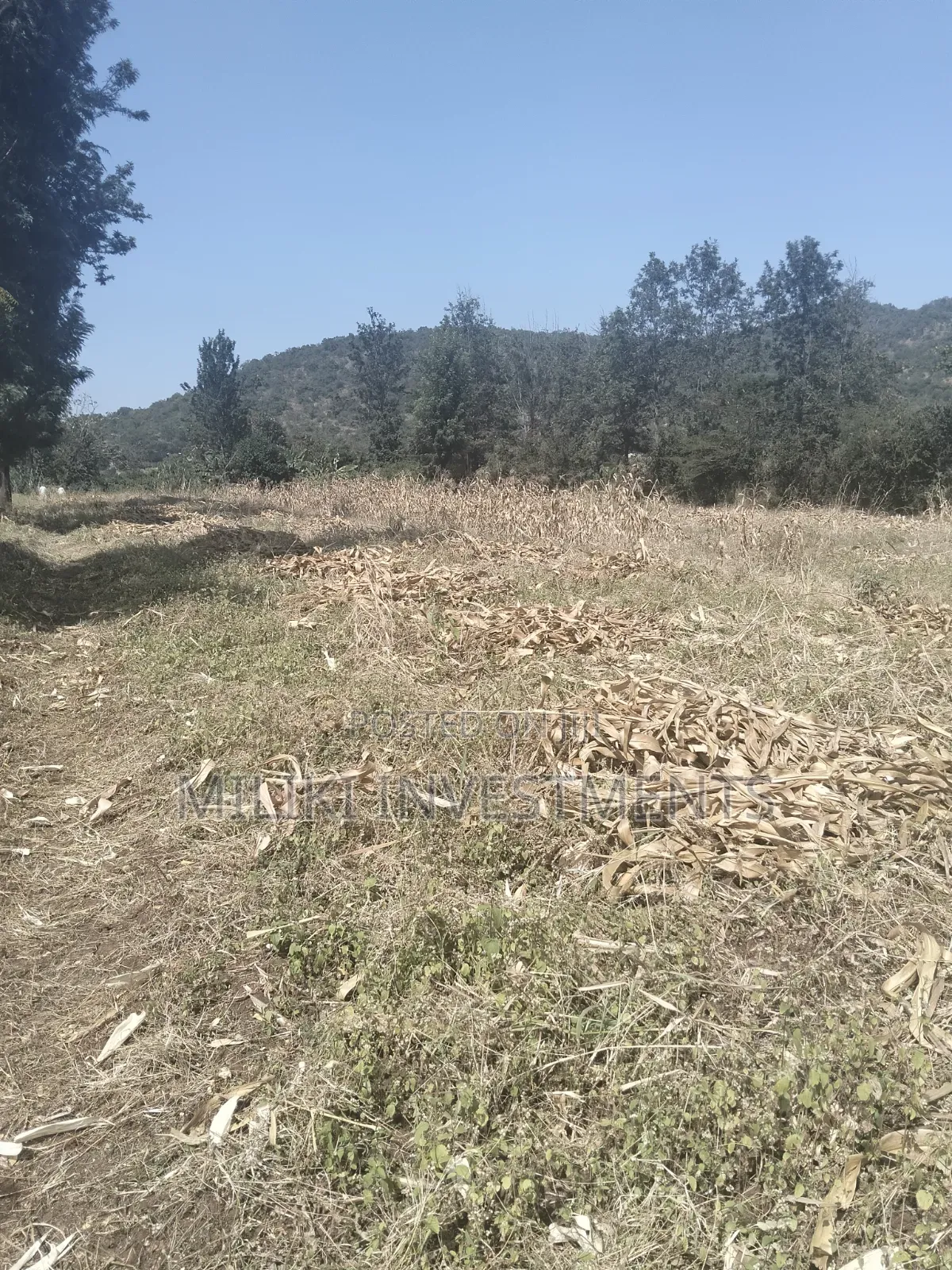 3.5 Acres of Land on Sale at Githûri Sagana Area Murang'a County in Mbiri