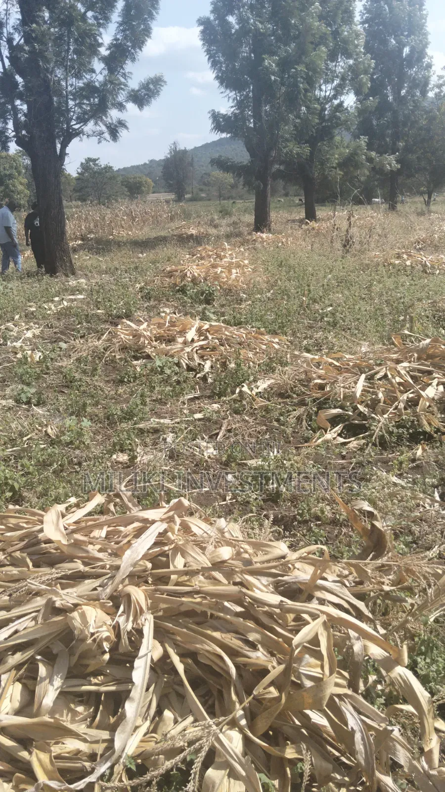 3.5 Acres of Land on Sale at Githûri Sagana Area Murang'a County in Mbiri