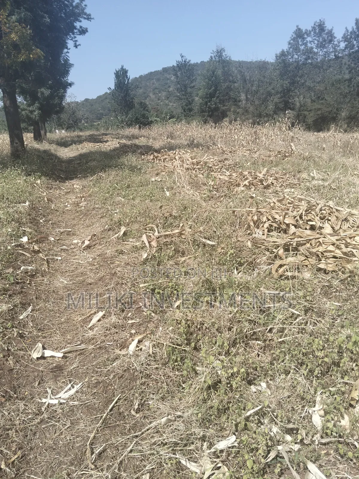 3.5 Acres of Land on Sale at Githûri Sagana Area Murang'a County in Mbiri