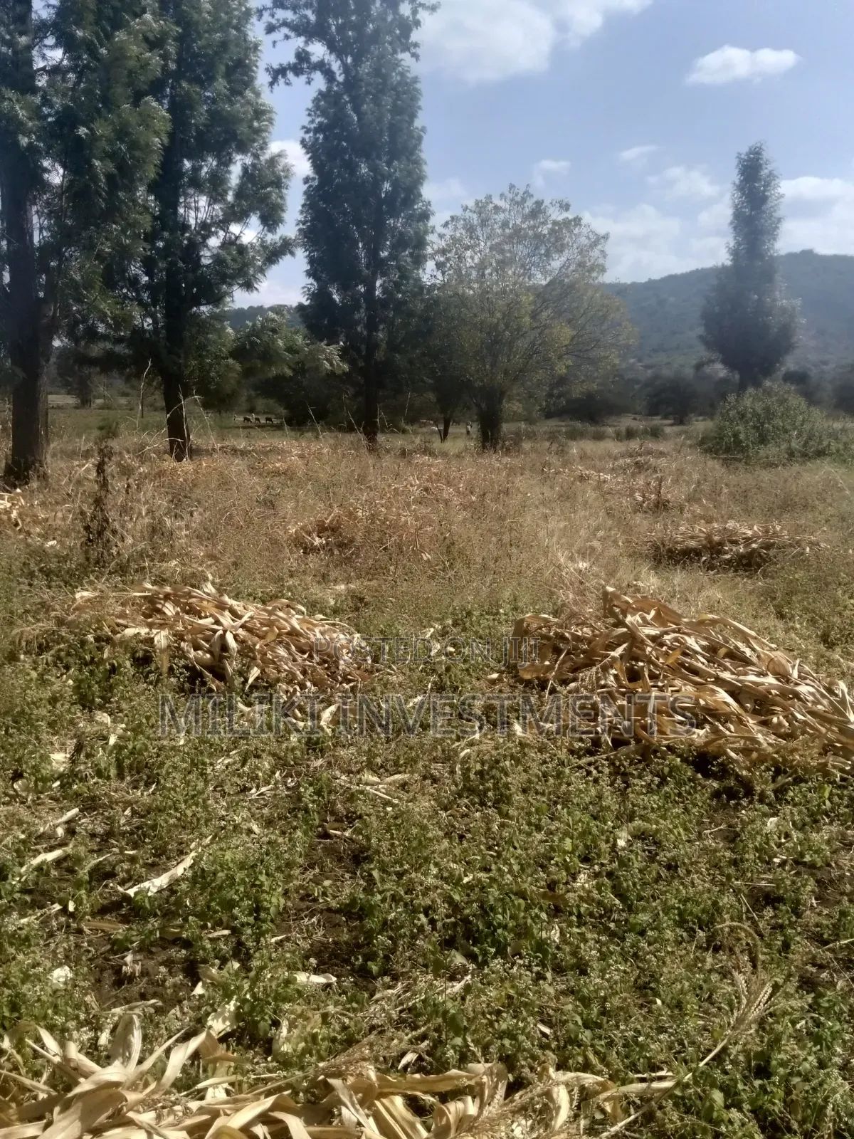 3.5 Acres of Land on Sale at Githûri Sagana Area Murang'a County in Mbiri