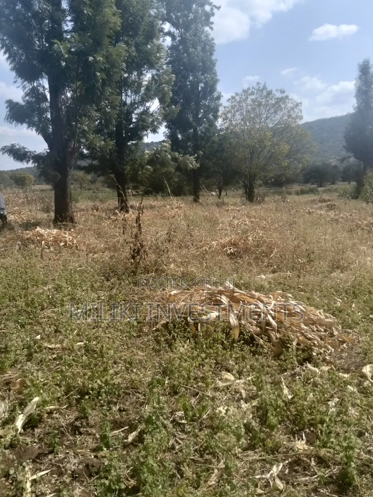 3.5 Acres of Land on Sale at Githûri Sagana Area Murang'a County in Mbiri