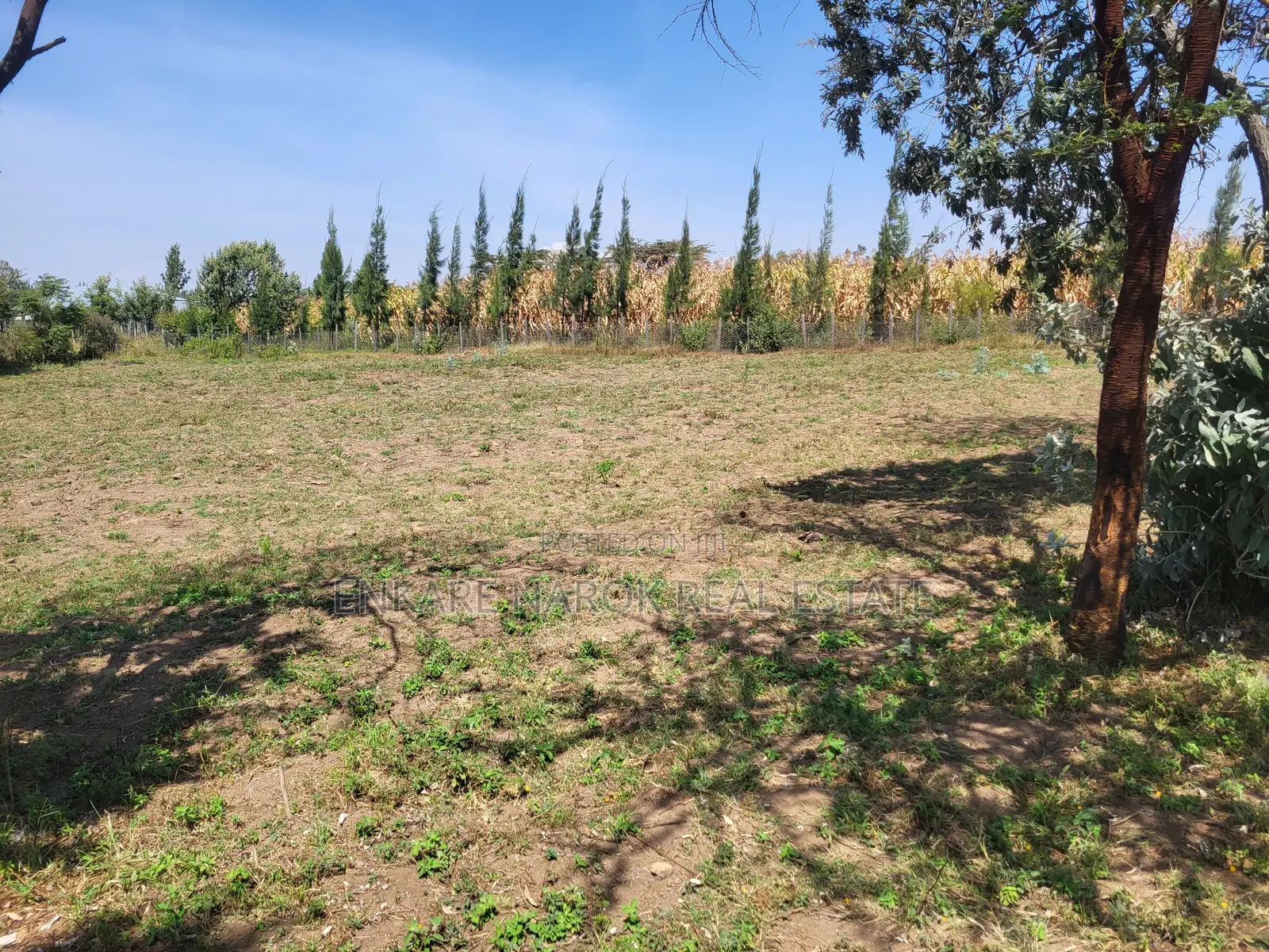Road-Front 50×100 Plot for Sale Near Duka Moja on Narok–Bomet Rd — 2M in Narok Town