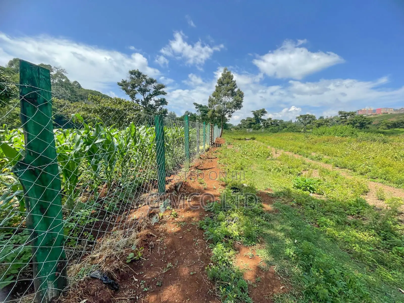 Land for Sale in Nyeri Behind Outspan Hotel in Kamakwa
