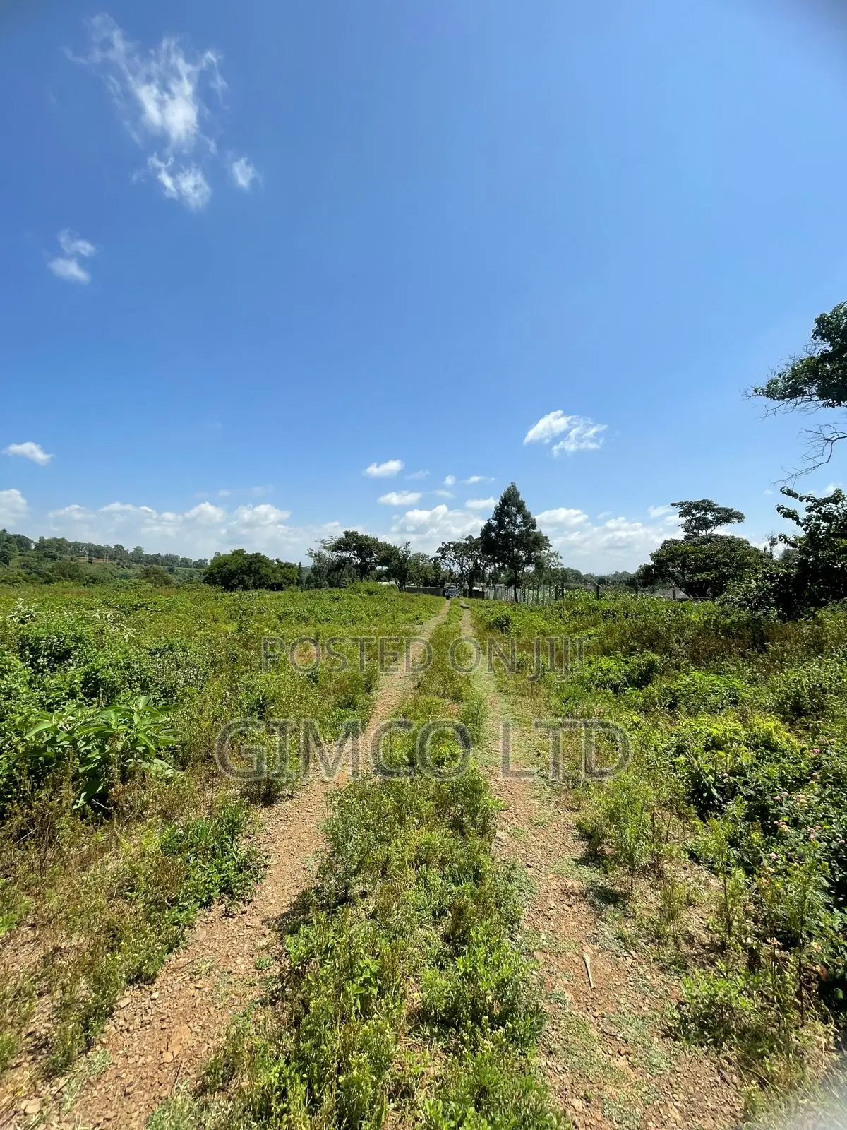 Land for Sale in Nyeri Behind Outspan Hotel in Kamakwa