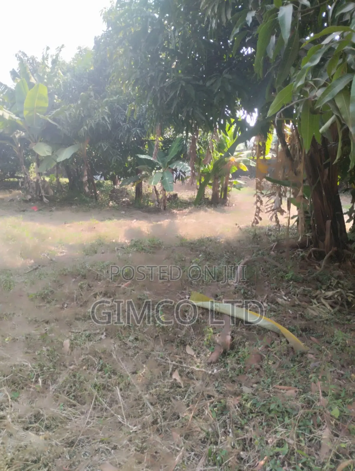 Prime 3/4acre Plot for Sale in Thome 5 Estate in Thome