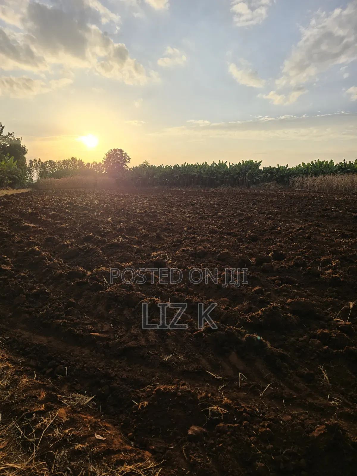 1Acre for Sale in Mugutha in Ruiru