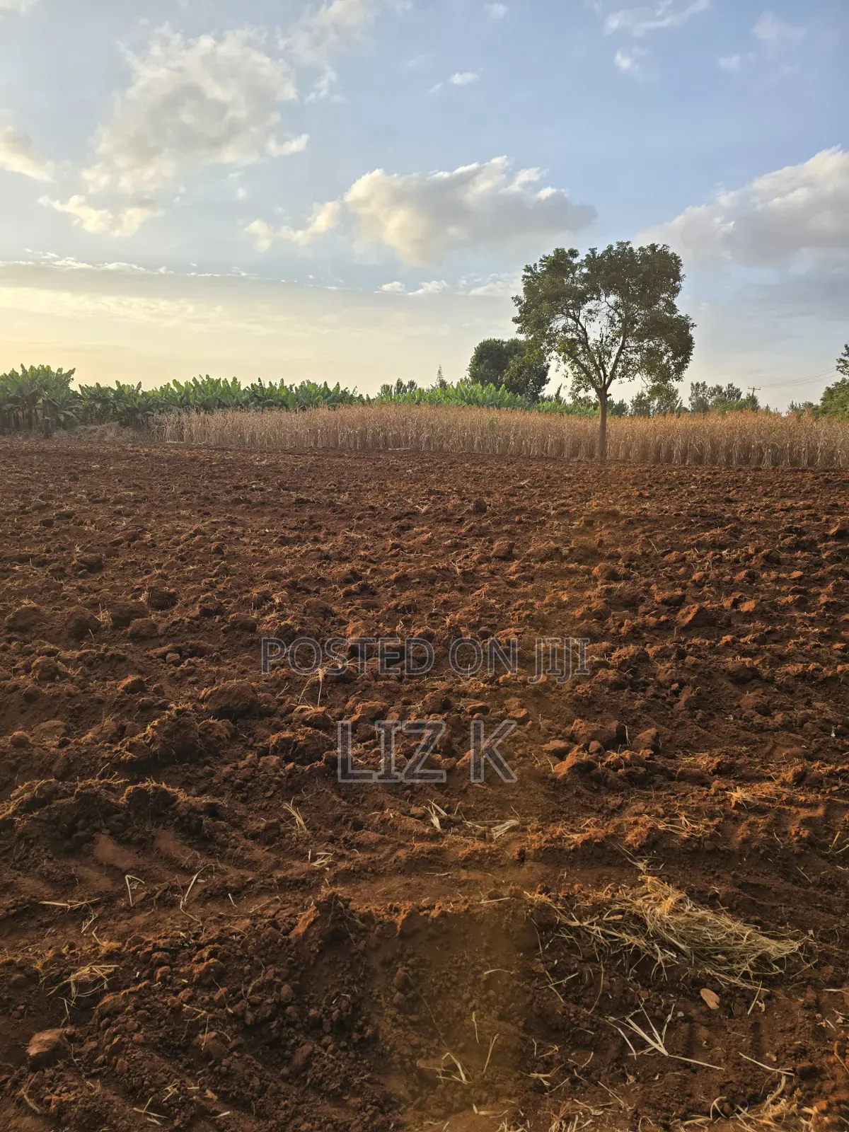 1Acre for Sale in Mugutha in Ruiru