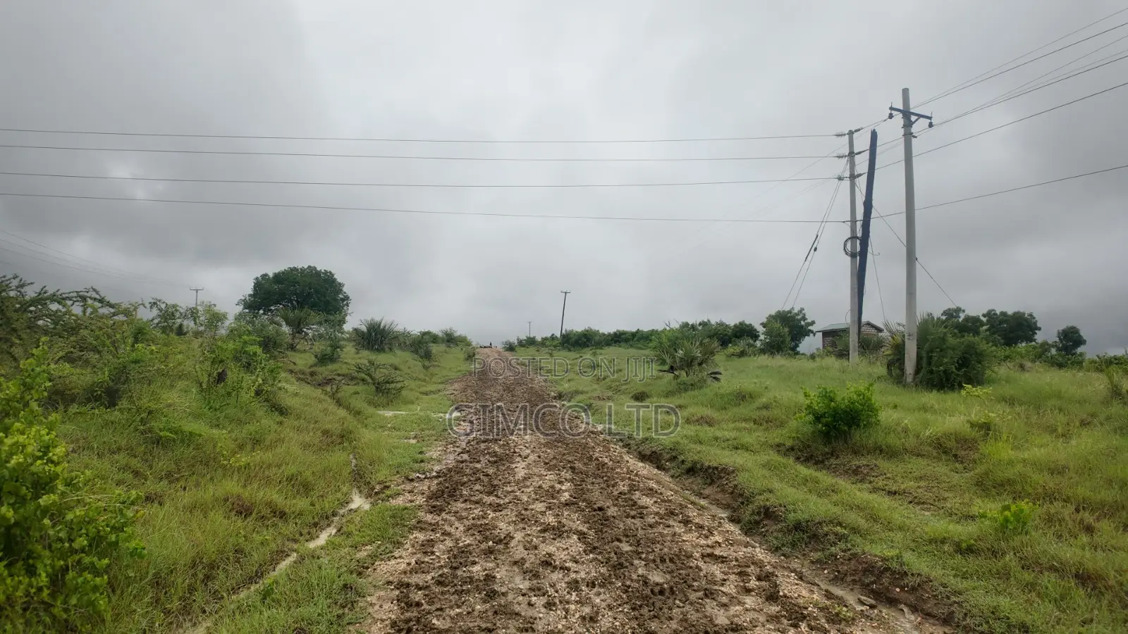 FARM Land for Sale Matuga Dongo Kundu Kwale County in Tiwi