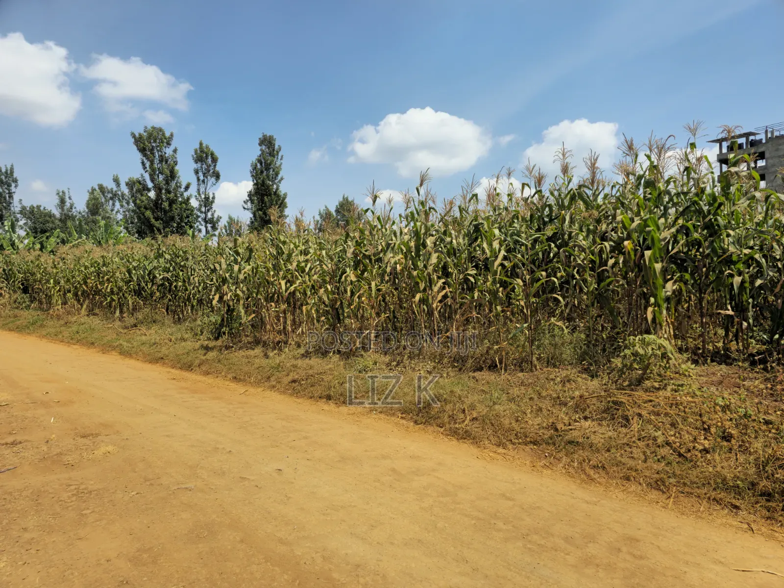 1 Acre Land in Mugutha in Ruiru