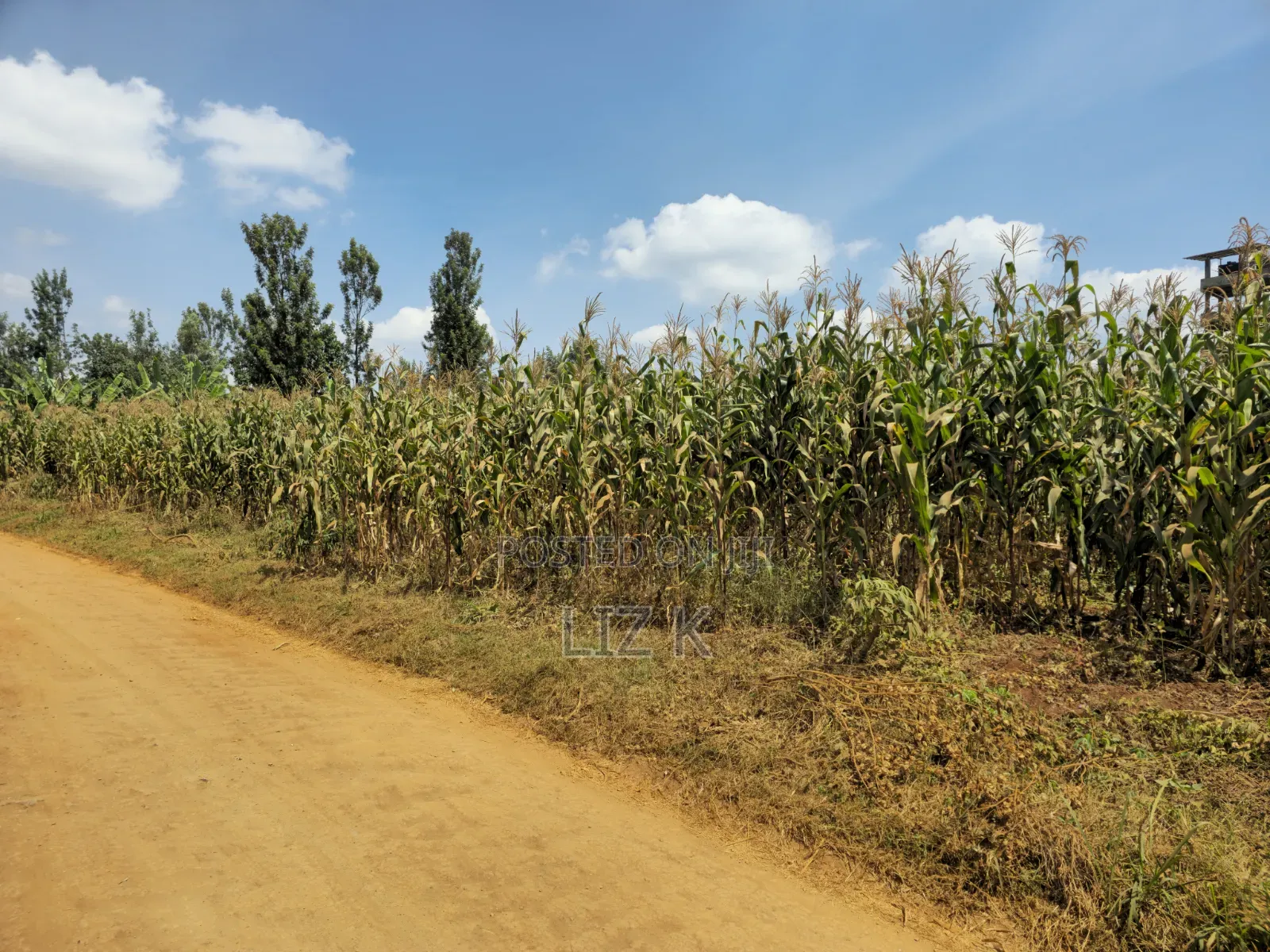 1 Acre Land in Mugutha in Ruiru