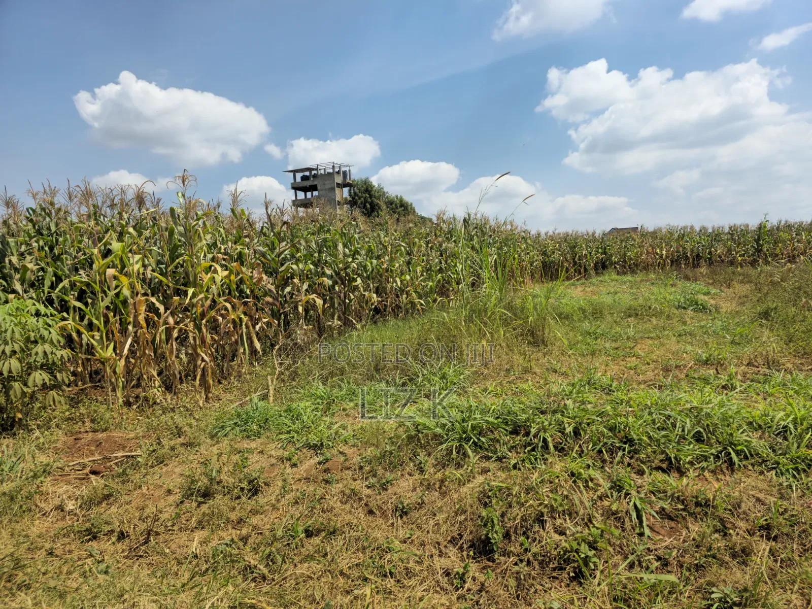 1 Acre Land in Mugutha in Ruiru