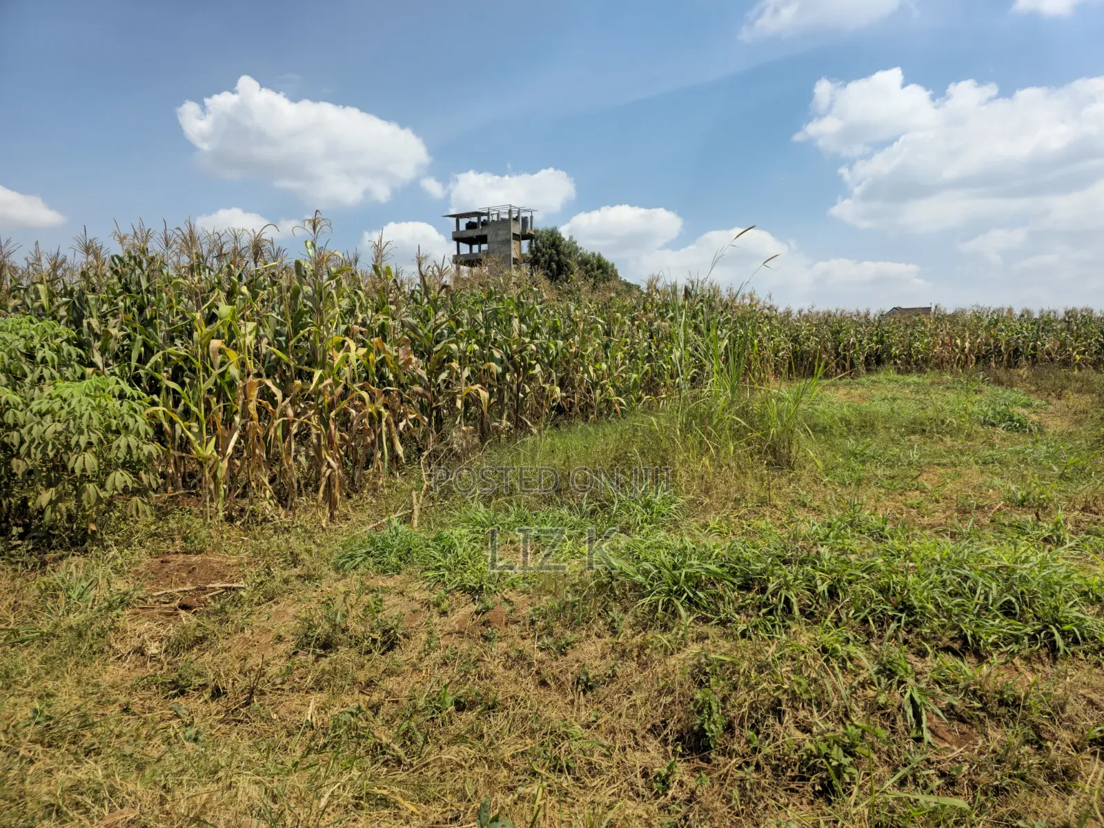 1 Acre Land in Mugutha in Ruiru