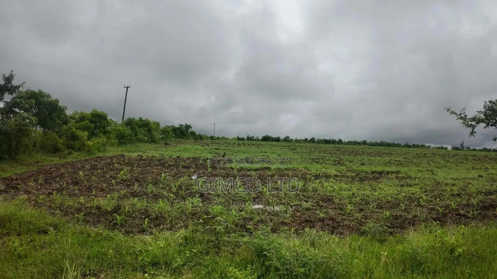 FARM Land for Sale Matuga Dongo Kundu Kwale County in Tiwi