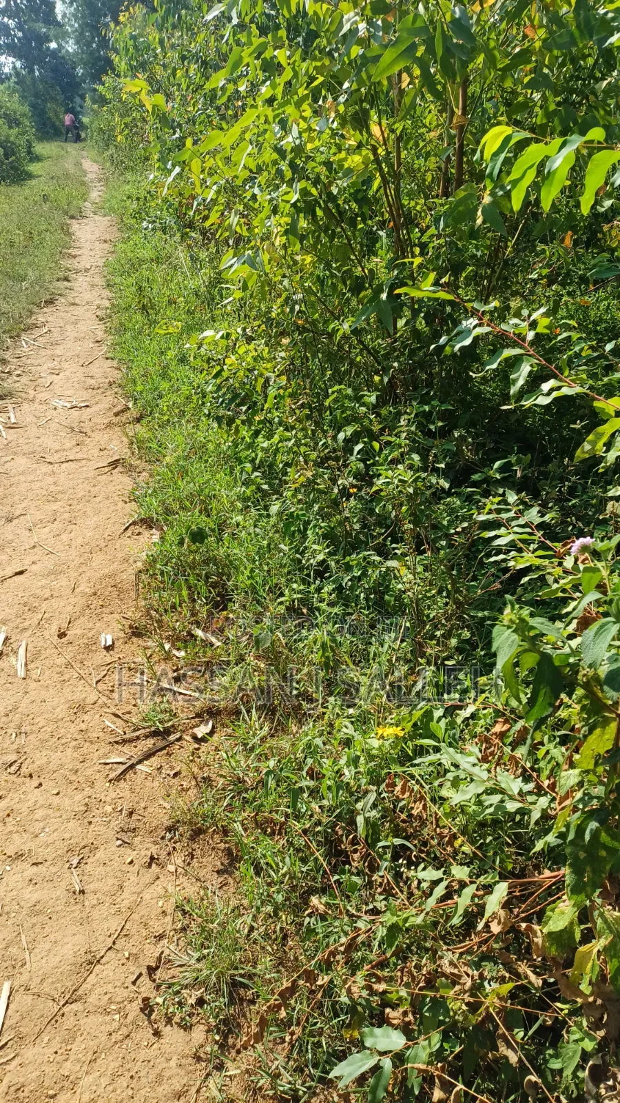 1acre Marama Shinamwenyuli. in Marama Central
