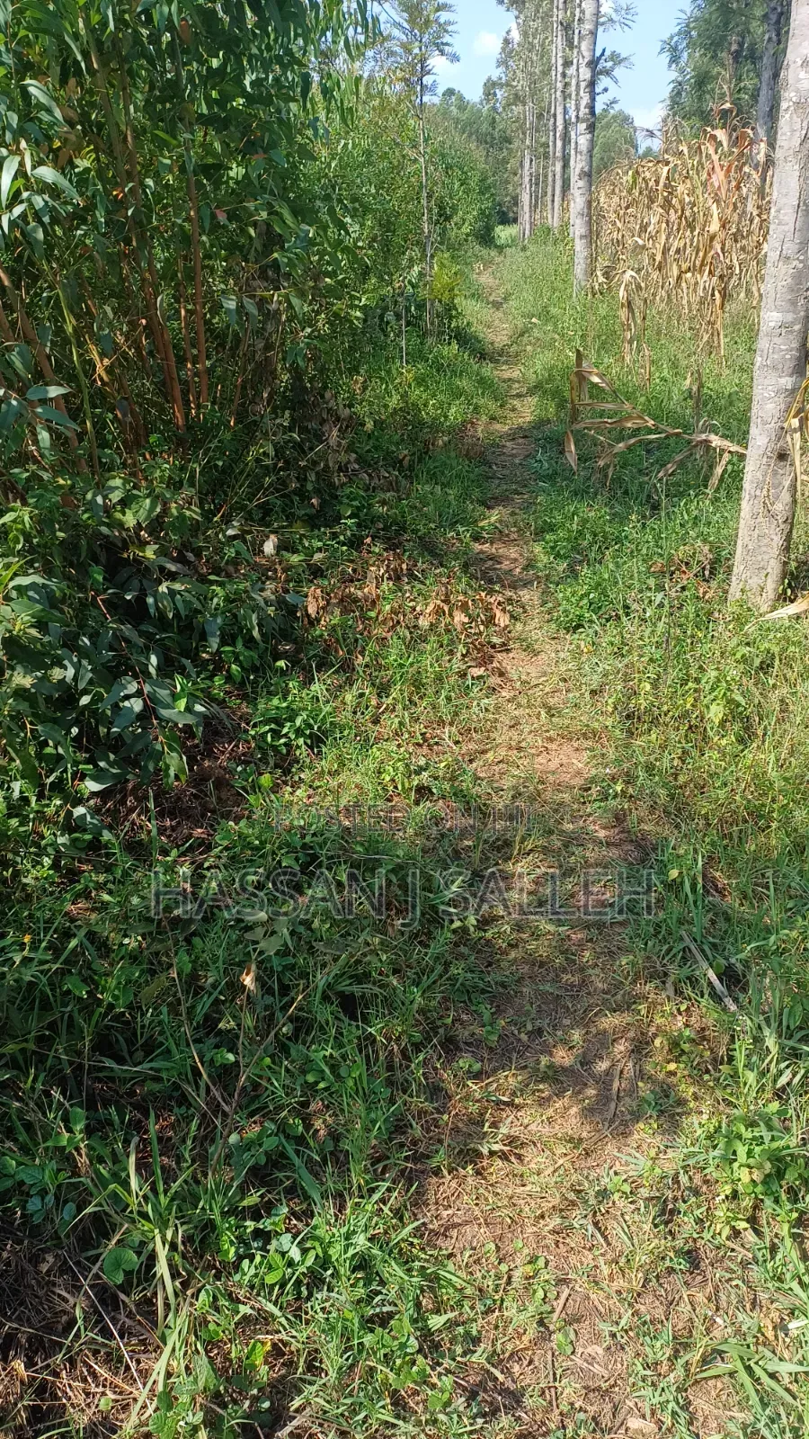 1acre Marama Shinamwenyuli. in Marama Central