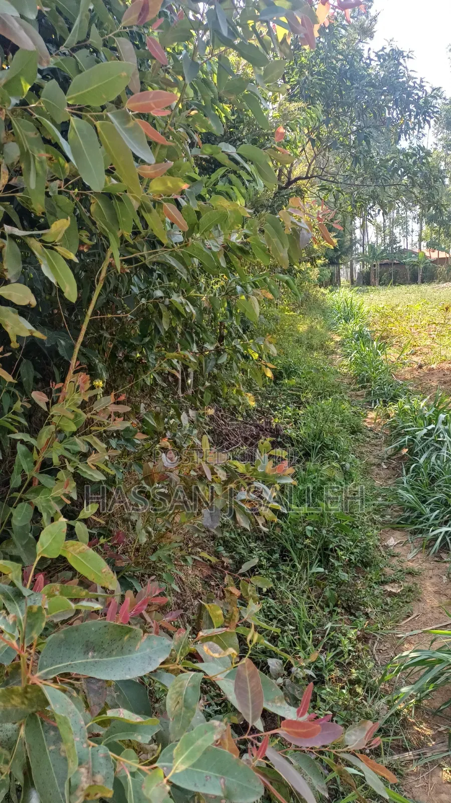 1acre Marama Shinamwenyuli. in Marama Central