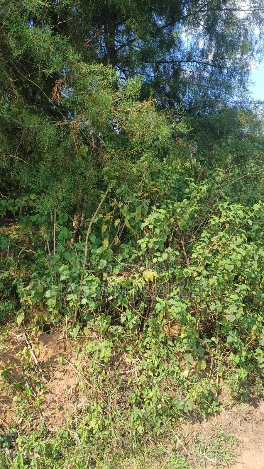 1acre Marama Shinamwenyuli. in Marama Central