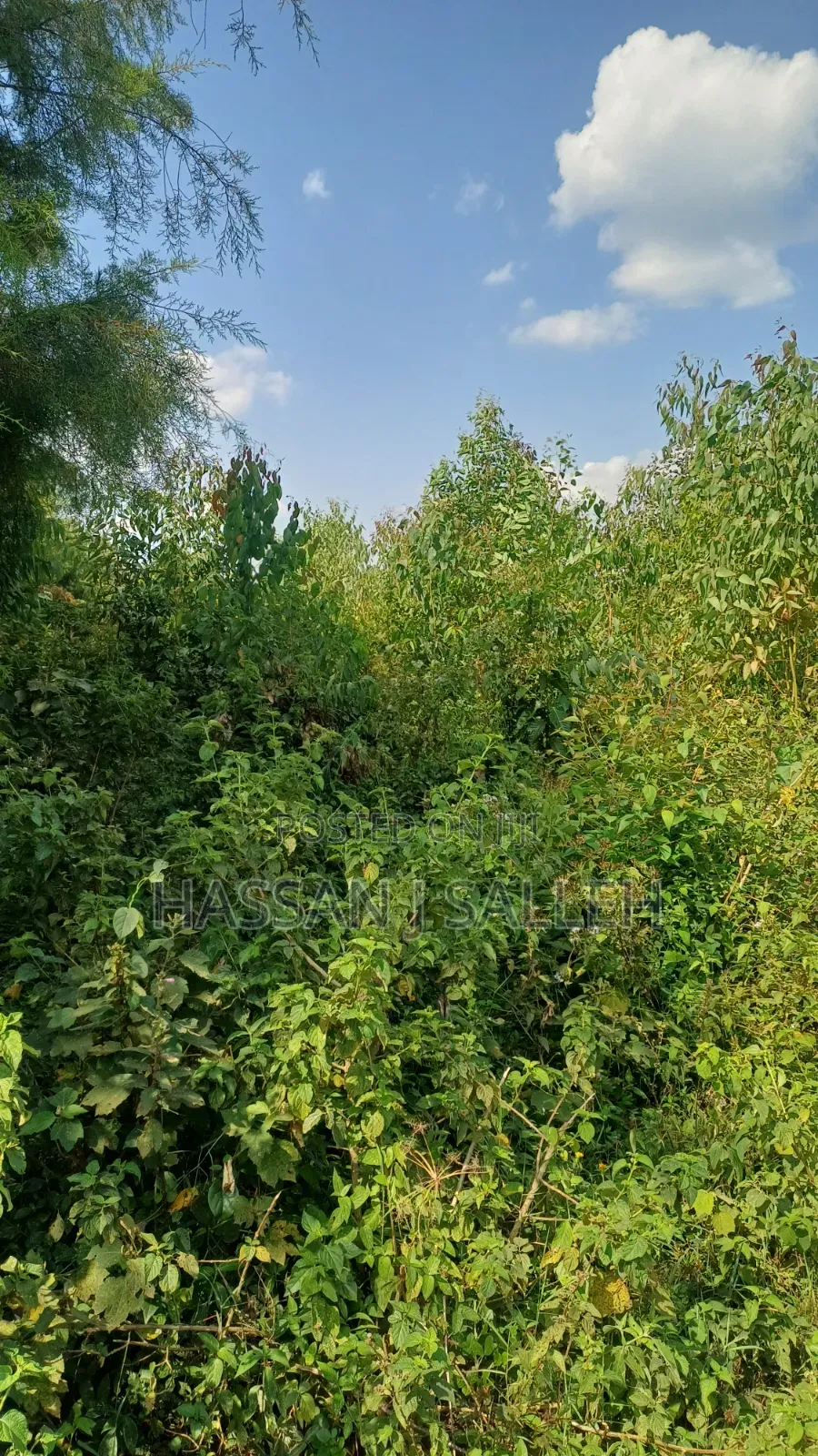 1acre Marama Shinamwenyuli. in Marama Central