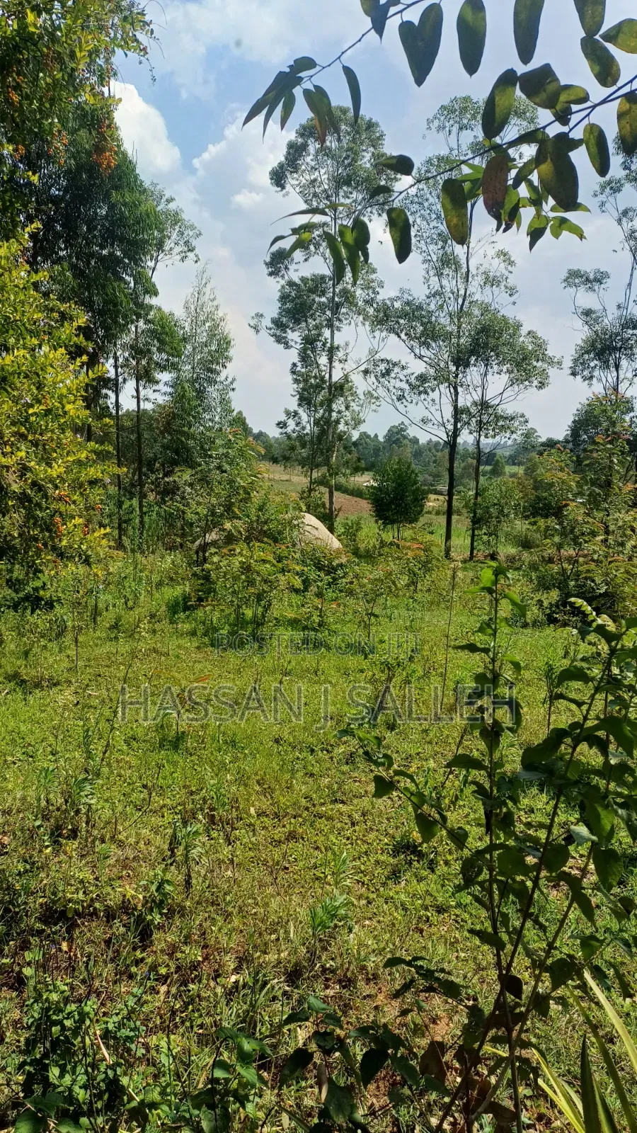 4ACRES Bukaya in Etenje