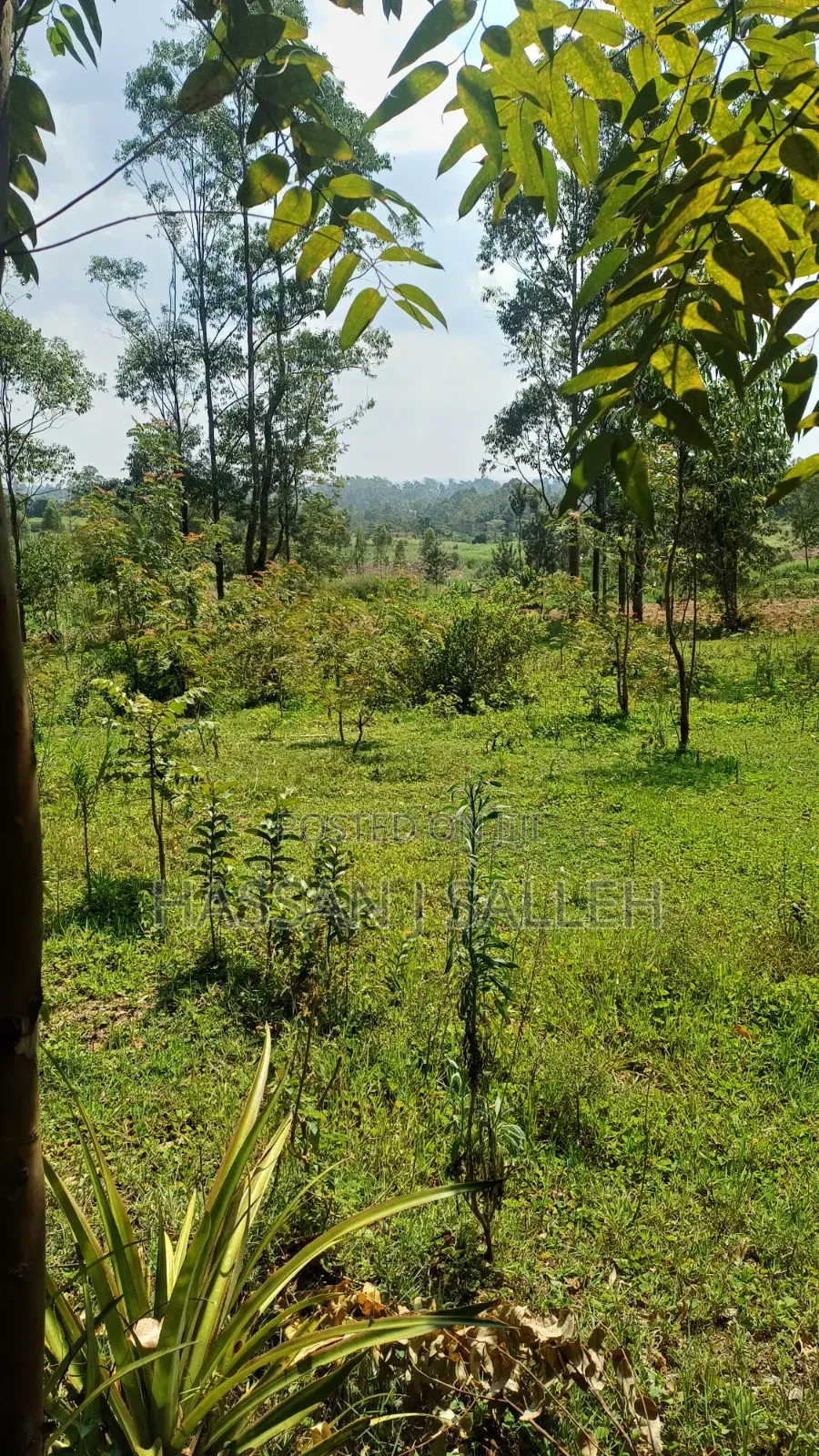 4ACRES Bukaya in Etenje