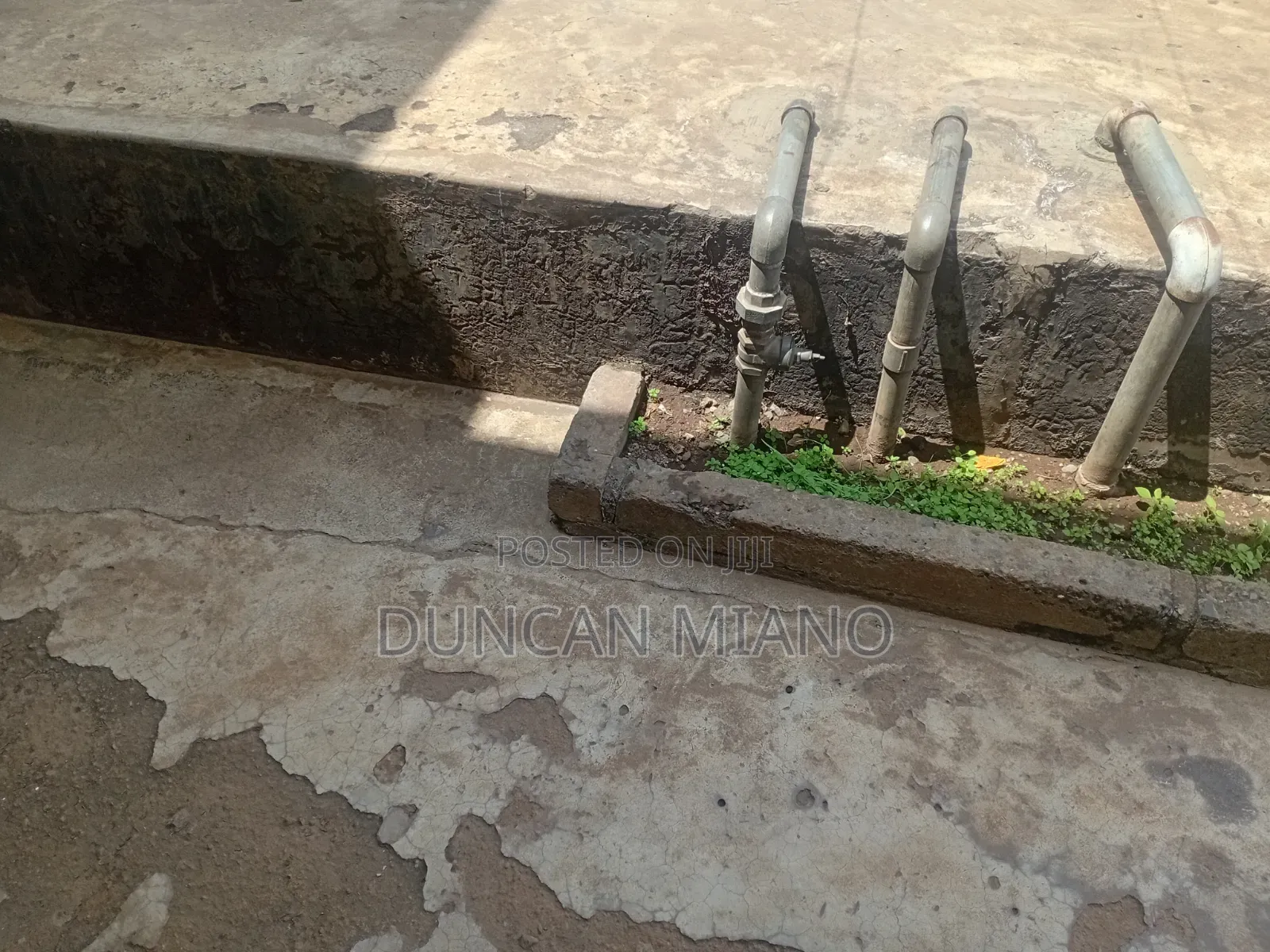 1bdrm Apartment in South C Beleviw, Nairobi Central for rent in Nairobi Central
