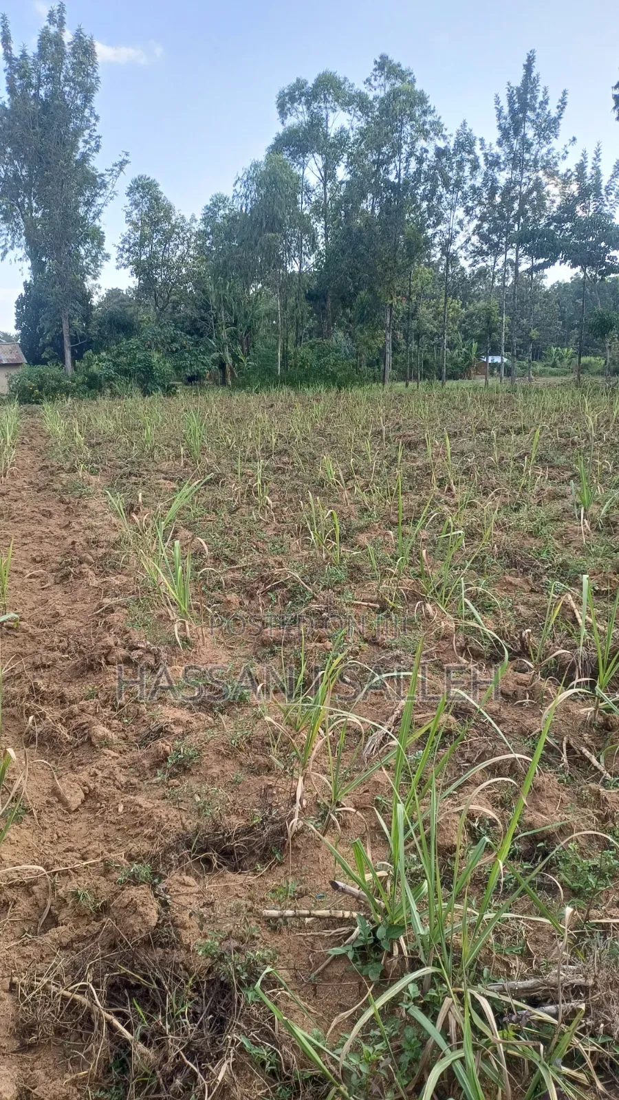 2acres Shikalame in Marama Central