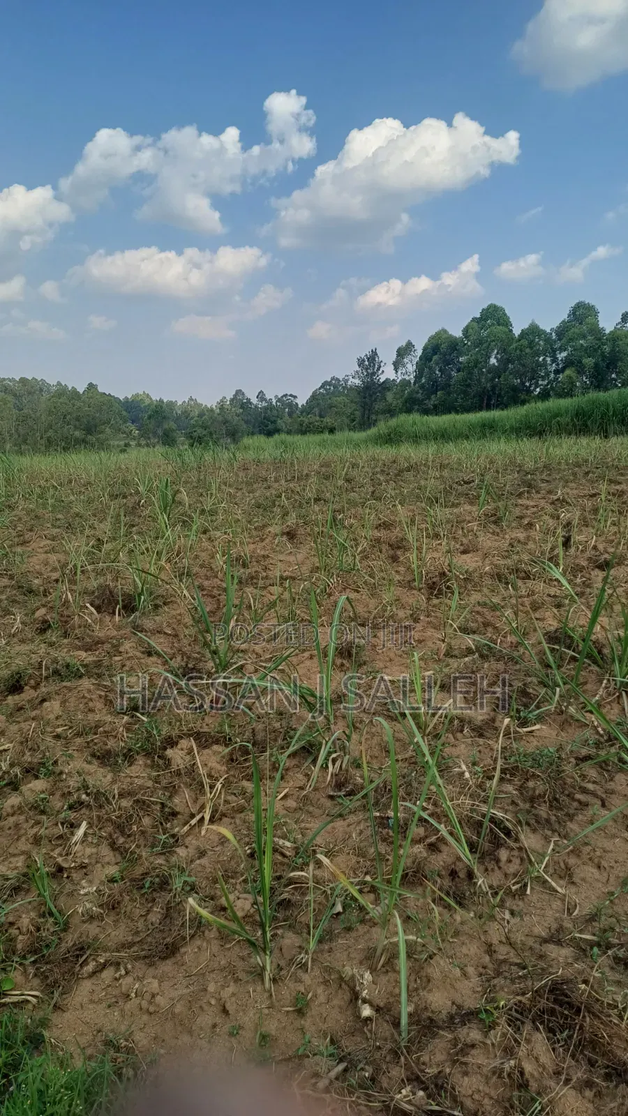 2acres Shikalame in Marama Central