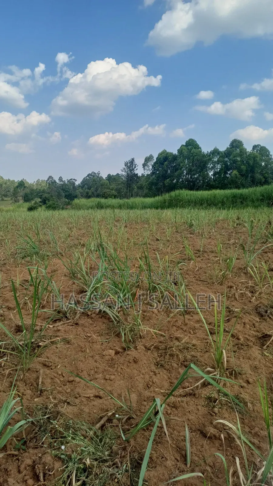 2acres Shikalame in Marama Central