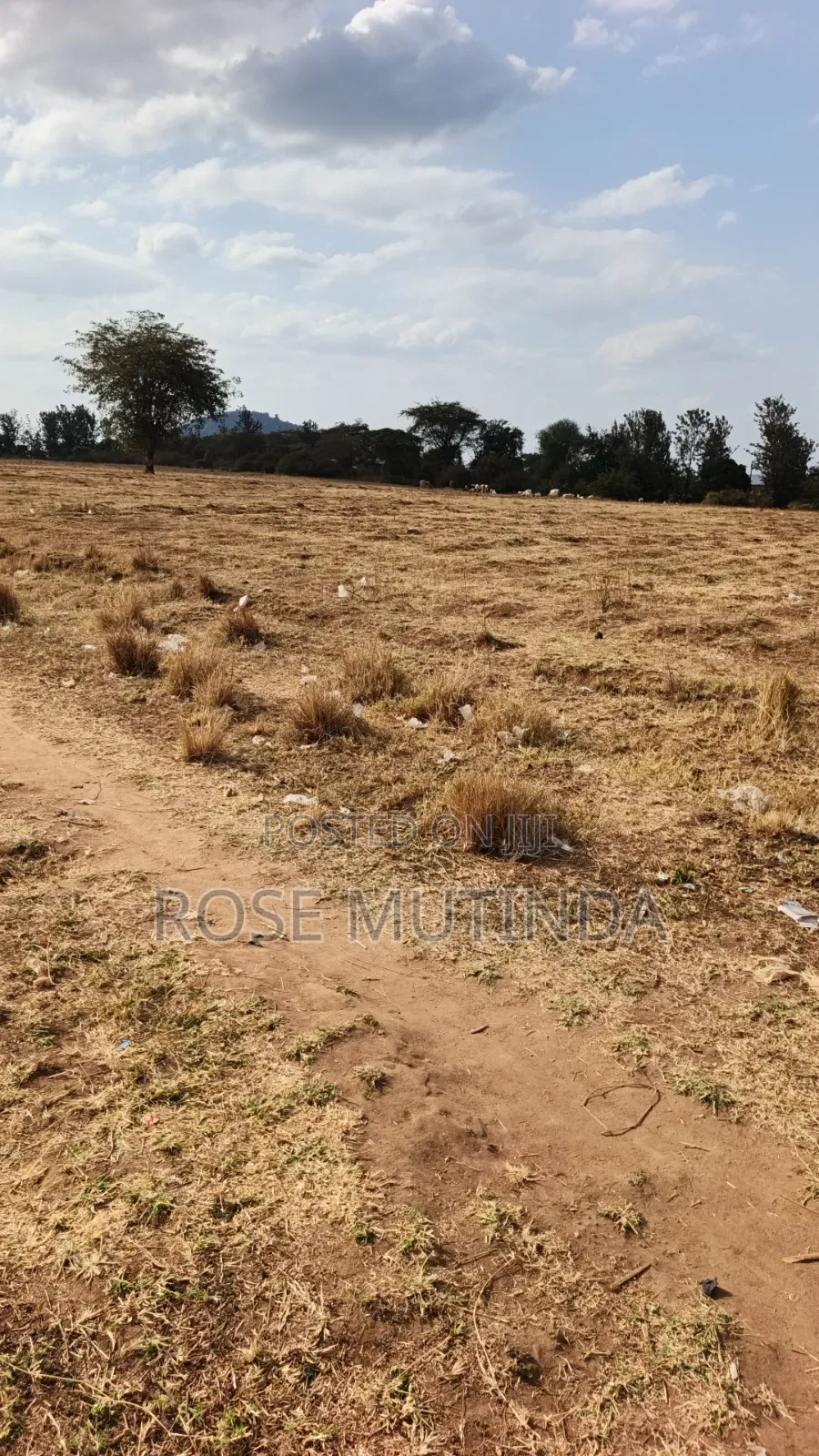 40acres at Mamba in Makutano