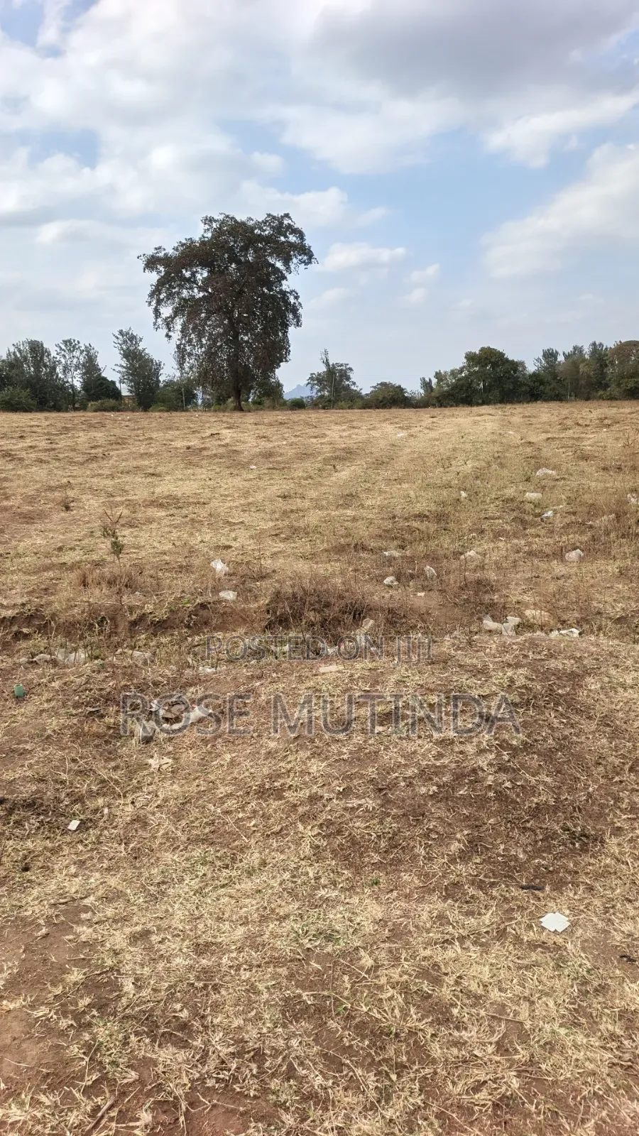 40acres at Mamba in Makutano
