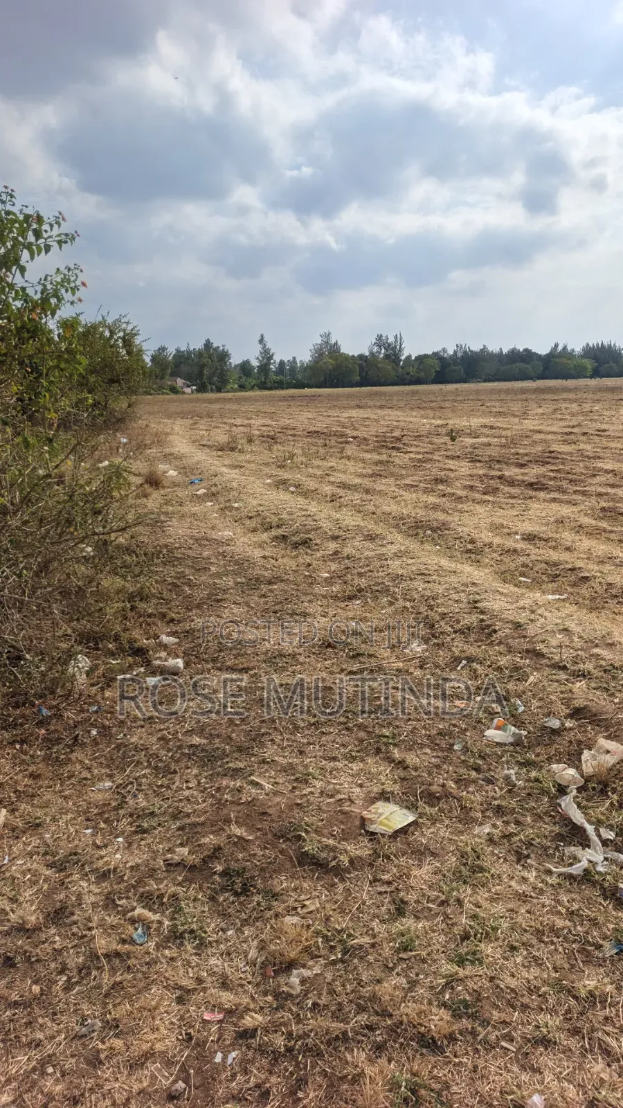 40acres at Mamba in Makutano