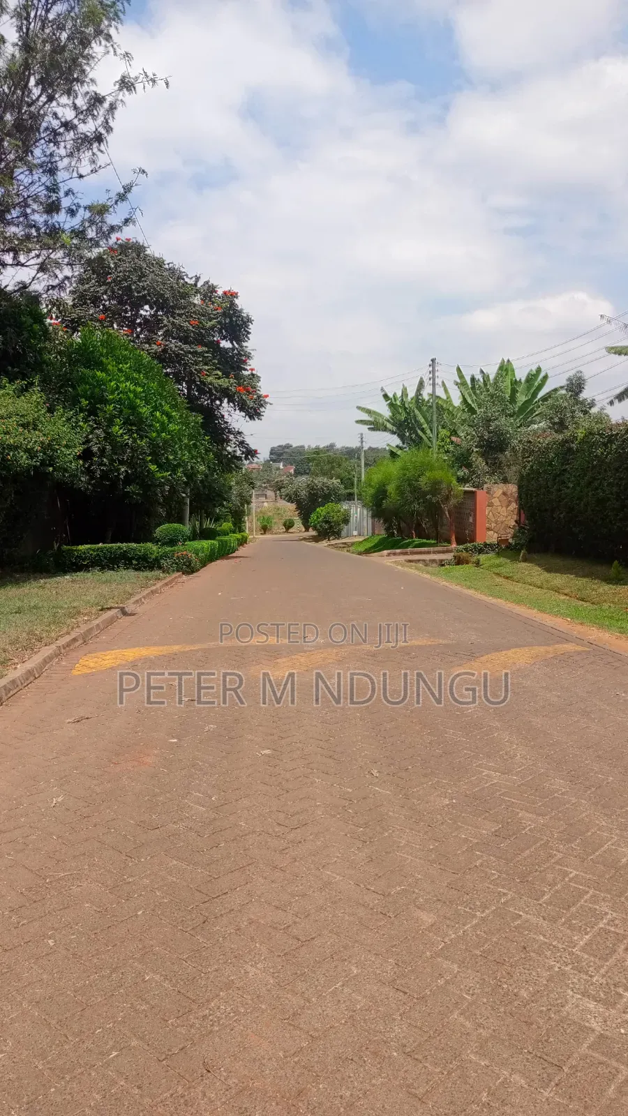 Runda Gardens-Prime Plot 1/2 Acre, Red Soil in Kiambu / Kiambu 
