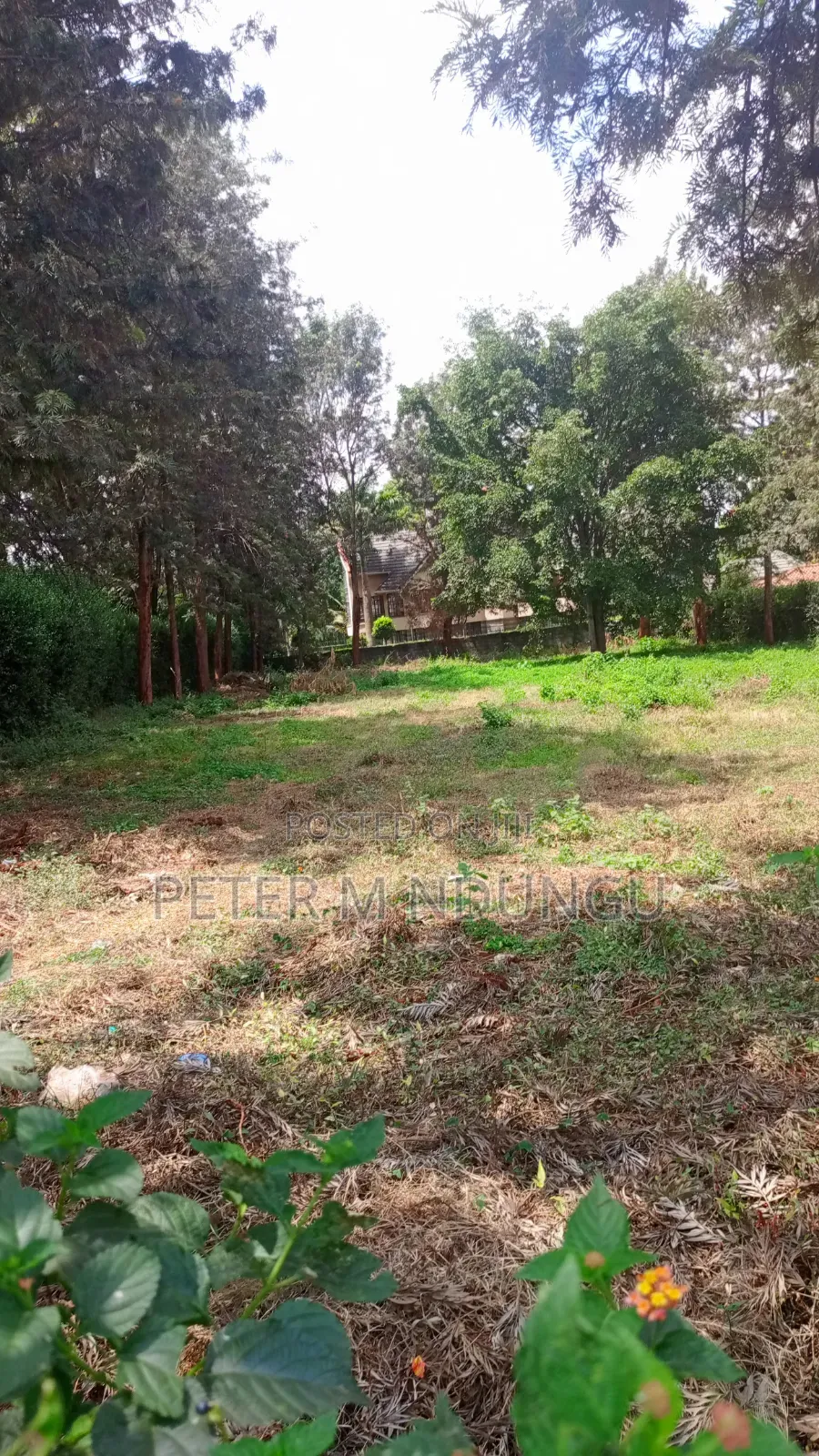 Runda Gardens-Prime Plot 1/2 Acre, Red Soil in Kiambu / Kiambu 