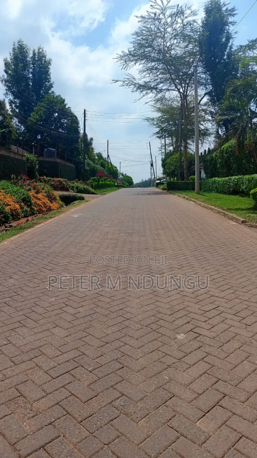 Runda Gardens-Prime Plot 1/2 Acre, Red Soil in Kiambu / Kiambu 
